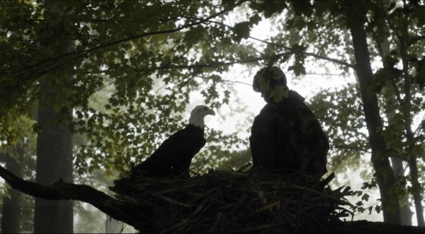 tumblr_nbyx39WlEr1rodohlo9_1280